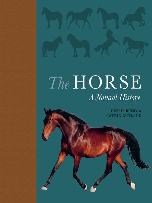 Title details for The Horse by Debbie Busby - Available